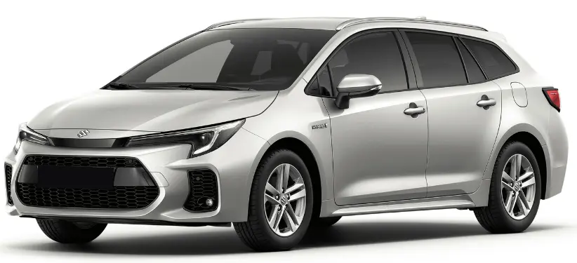 suzuki